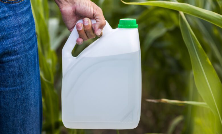 Dica sustentável: Como fazer regador de garrafa pet 1 Como fazer regador de garrafa pet