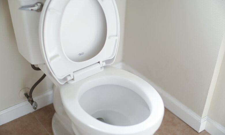 Como Limpar Crosta de Vaso Sanitário: Guia Passo a Passo 1 vaso sanitario 1