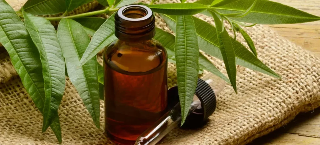 Como fazer óleo bronzeador caseiro? 2 bronzeador caseiro receita